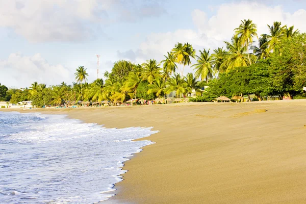 Turtle Beach, Tobago — Stok fotoğraf