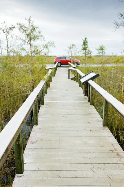 Park Narodowy Everglades, Floryda, USA — Zdjęcie stockowe