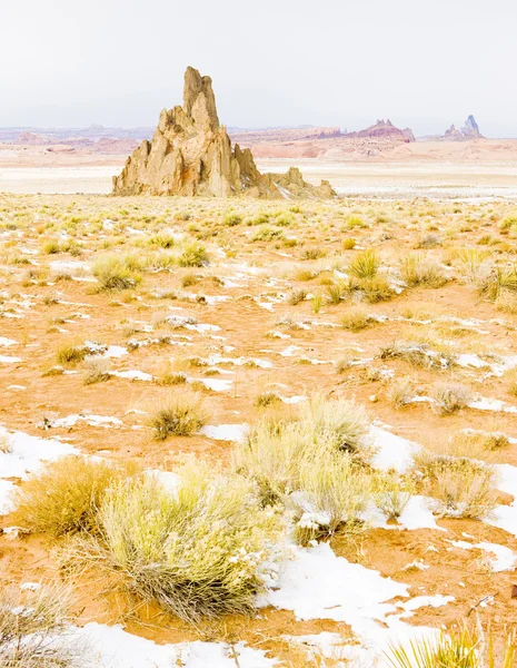 Vinterlandskap i arizona, usa — Stockfoto