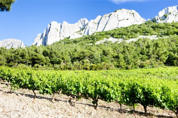 Wijngaarden in de buurt van gigondas op col du cayron, provence, Frankrijk — Stockfoto