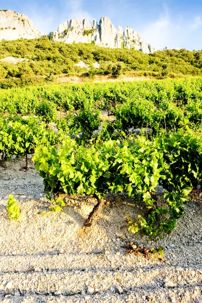 Виноградники возле Гигондаса в Col Du Cayron, Прованс, Франция — стоковое фото