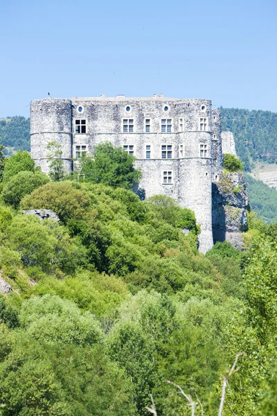 法国罗纳-阿尔卑斯大区，阿尔瓦-la-莴苣城堡 — 图库照片