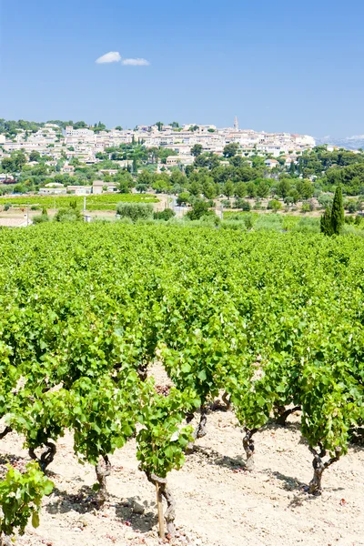 ラ cadiere d ' azur とブドウ畑、プロヴァンス、フランス — ストック写真
