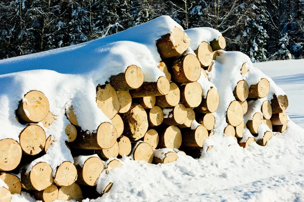 stock image Snow covered logs