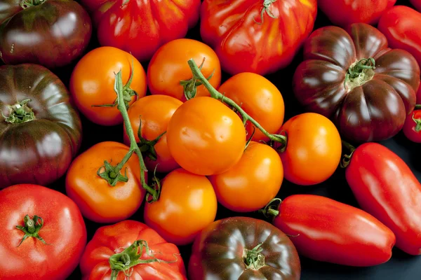 Still Life Tomatoes — Stock Photo, Image