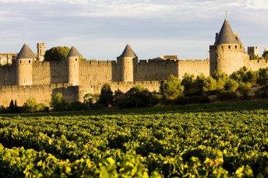 Carcassonne, Languedoc-Roussillon, France clipart