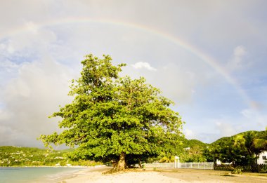 rainbow over Grand Anse Bay, Grenada clipart