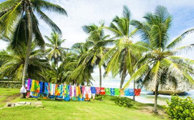 Typical fabrics, Bathsheba, East coast of Barbados, Caribbean clipart