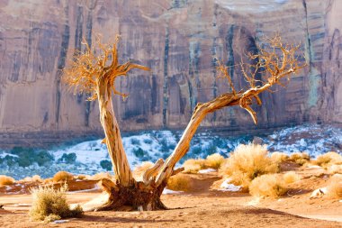 anıt Vadisi Milli Parkı, utah-arizona, ABD