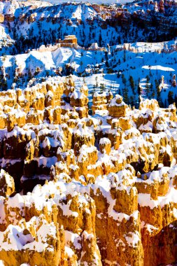 Bryce Canyon Ulusal Parkı, Utah, ABD