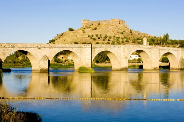 Medellin Badajoz Provinz Extremadura Spanien — Stockfoto