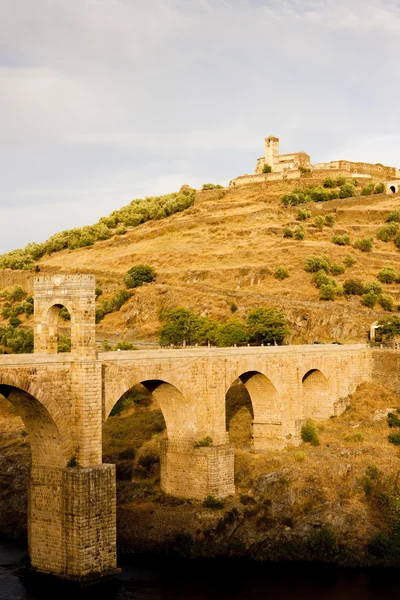 罗马桥、 阿尔坎塔拉、 卡塞雷斯省、 埃斯特雷马杜、 西班牙 — 图库照片