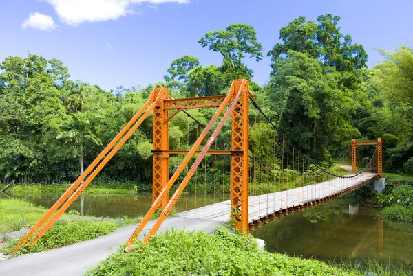 Suspension bridge, Blanchisseuse, Trinidad — Stock Photo, Image