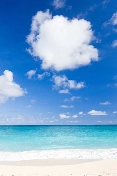 Bay Barbados Karayipler Faul — Stok fotoğraf