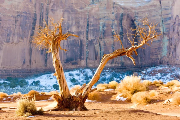 Monument Valley National Park Utah Arizona — Foto de Stock