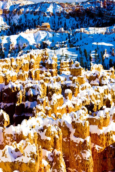 Bryce Canyon National Park Winter Utah Usa — Stock Photo, Image