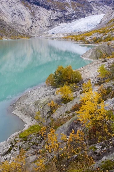 Glaciar Nigardsbreen Parque Nacional Jostedalsbreen Noruega — Fotografia de Stock