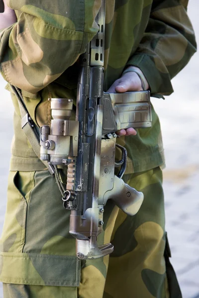 Vojenská přehlídka, oslo, Norsko — Stock fotografie
