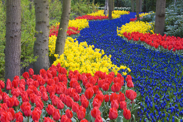 Keukenhof Gardens