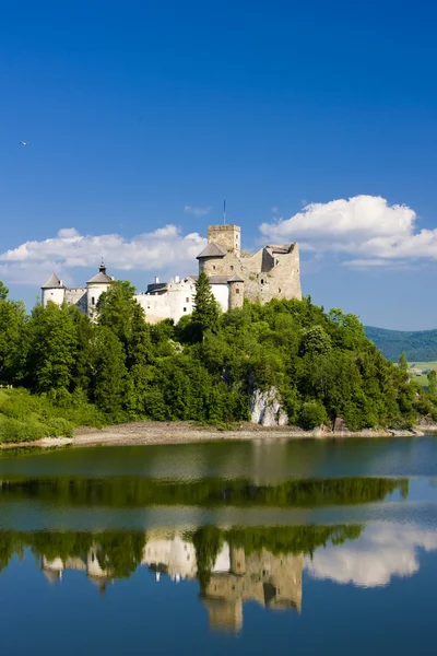 Niedzica Castle Polen — Stockfoto