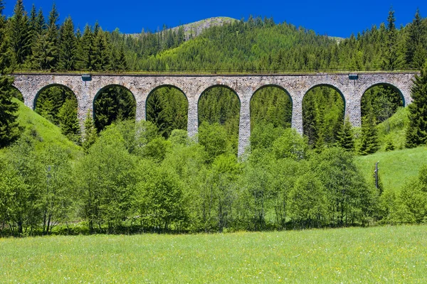 Railway viaduct near Telgart, Slovakia — Stock Photo, Image