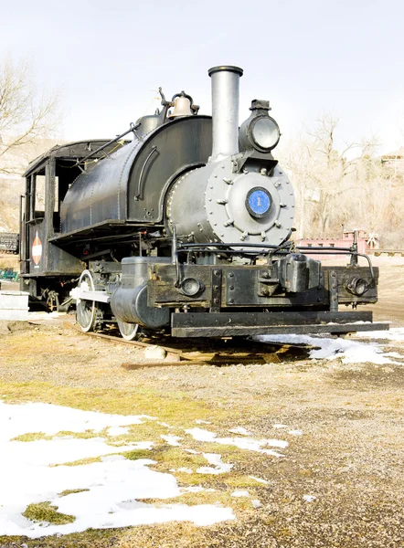 Stem Locomotive Colorado Railroad Museum Usa Stock Image