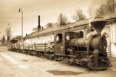 Buhar treni, Ciernohronska Demiryolu, Slovakya