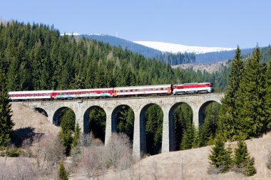 passenger train on railway viaduct near Telgart, Slovakia clipart