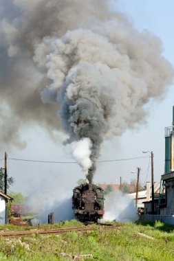 steam locomotive, Durdevik, Bosnia and Hercegovina clipart