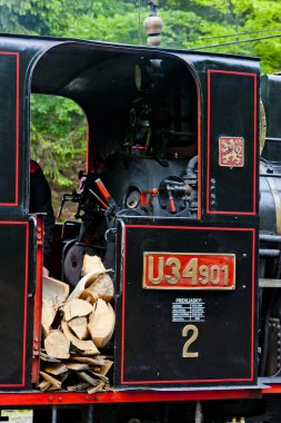 detail of steam locomotive, Museum of Kysuce village, Vychylovka, Slovakia clipart