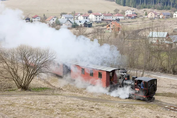 Ατμοκίνητη Αμαξοστοιχία Σιδηρόδρομος Ciernohronska Σλοβακία — Φωτογραφία Αρχείου
