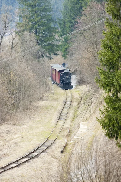 Dampfzug Ciernohronska Eisenbahn Slowakei — Stockfoto