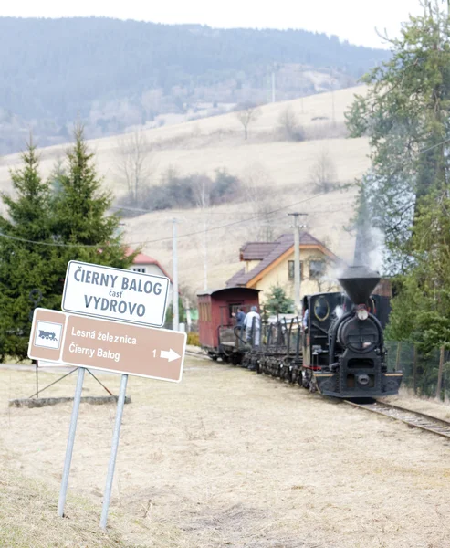 Treno Vapore Ferrovia Ciernohronska Slovacchia — Foto Stock