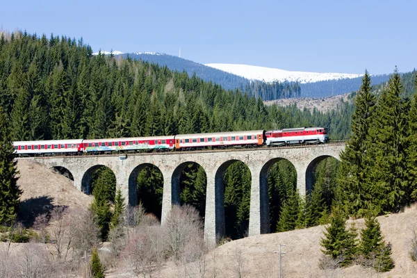 Telgart Slovakya Yakınındaki Demiryolu Viyadüğü Üzerinde Yolcu Treni — Stok fotoğraf