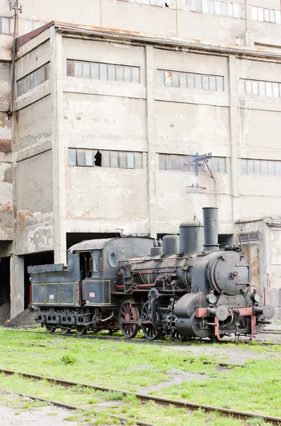 Пар локомотив (126.014), resavica, Сербія — стокове фото