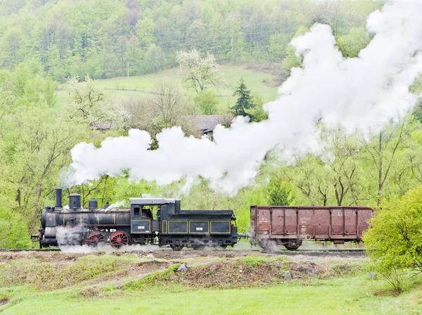 증기 화물 열차 (126.014), resavica, 세르비아 — 스톡 사진