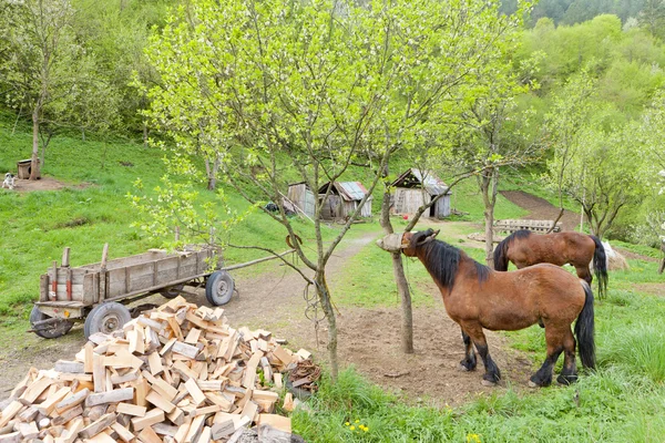 Zona rural de Bosnia y Herzegovina —  Fotos de Stock