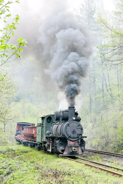 Ferrocarril de vía estrecha, Banovici, Bosnia y Herzegovina — Foto de Stock