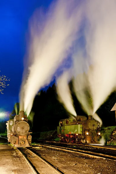 Locomotivas a vapor à noite, Oskova, Bósnia e Herzegovina — Fotografia de Stock