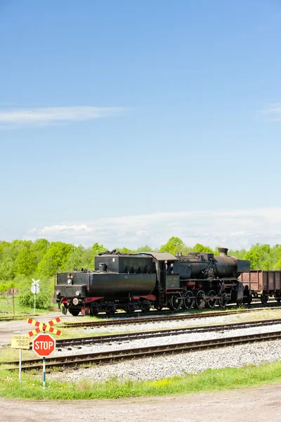 Locomotiva Vapore Nella Regione Tuzla Bosnia Erzegovina — Foto Stock