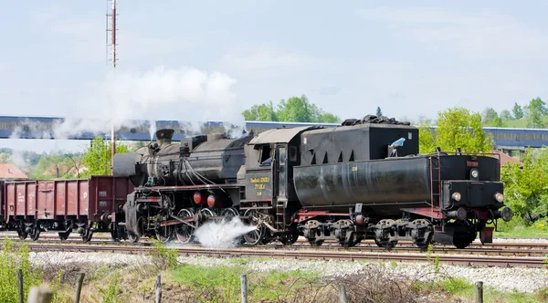 Tren de carga de vapor en la región de Tuzla, Bosnia y Herzegovina — Foto de Stock