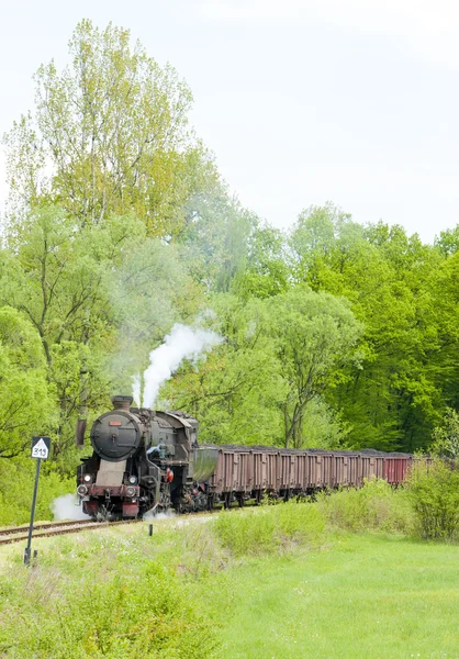 Steam Kolejowego Transportu Towarowego Regionie Tuzla Bośnia Hercegowina — Zdjęcie stockowe