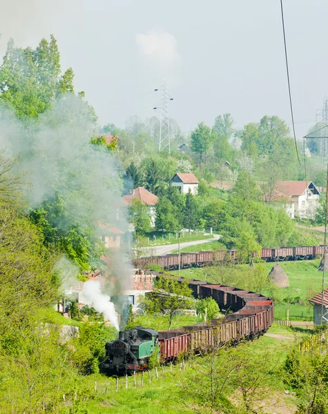 蒸気の貨物列車 — ストック写真