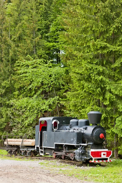 Locomotora de vapor, Museum of Kysuce village, Vychylovka, Eslovaquia — Foto de Stock