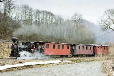 Steam train, Ciernohronska Railway, Slovakia clipart