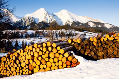 Belianske Tatras