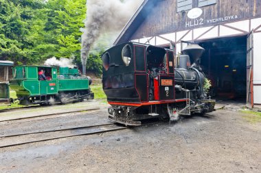 Steam locomotives, Museum of Kysuce village, Vychylovka, Slovakia clipart