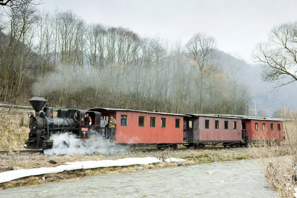 Паровой Поезд Ciernohronska Railway Словакия — стоковое фото