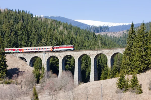 旅客列车上铁路高架桥附近 Telgart 斯洛伐克 — 图库照片