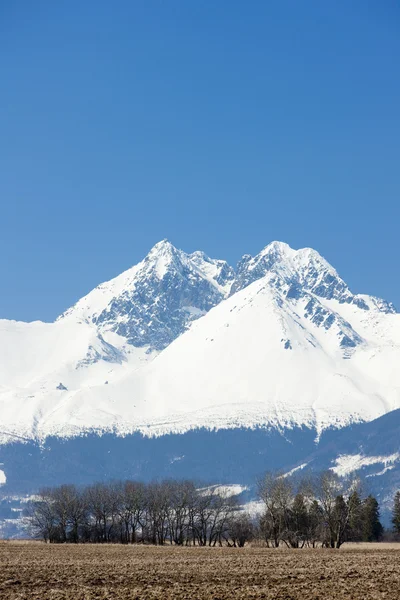 Vysoke tatry (hohe Tatra), Slowakei — Stockfoto